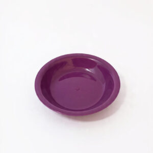 Bright Plastic Bowl