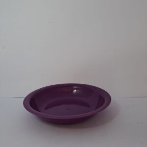 Bright Plastic Bowl