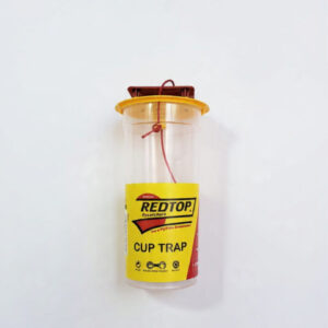 Red Top Fly Catcher