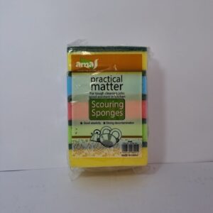 Scouring Sponges 5s