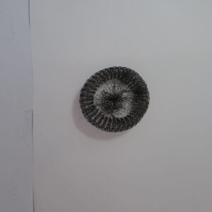 Pot Scourer