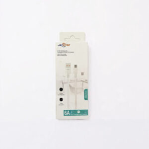 Japster D Type Charger