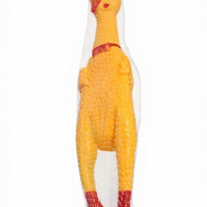 Squeeky Chicken Toy Med