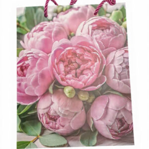 Gift Bag CC085-041