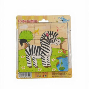 6 Side Painting Blocks