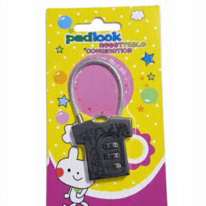 Resettable Lock