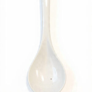 22cm Ceramic Spoon