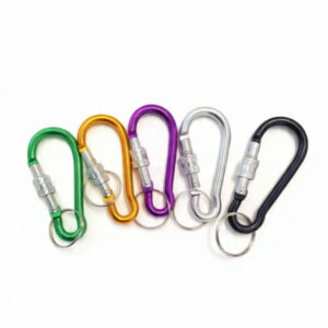 Color Clip Key Chains